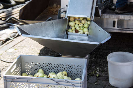 Fruit press for apple juice extraction