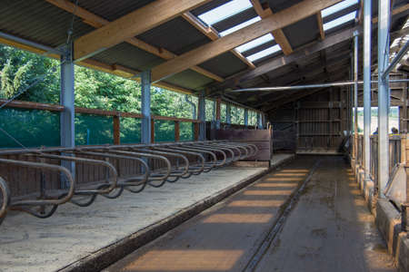 farm stables for cattleの写真素材