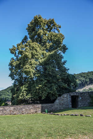 Sayn Castle in the Westerwaldのeditorial素材