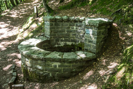 old fountain in the forestの写真素材