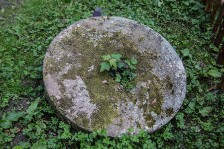Stone mill wheel in the grassの写真素材