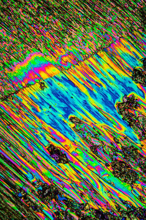 Urea crystals in polarized light under the microscope