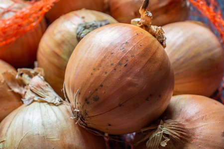 Raw onions with peel in the net for cookingの写真素材