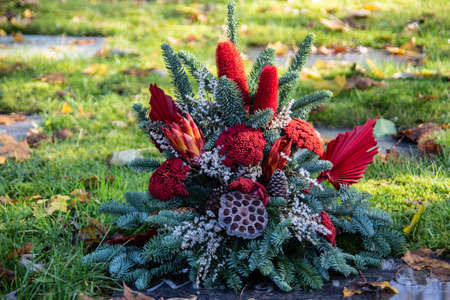 red colorful cemetery decorations on the meadowの写真素材