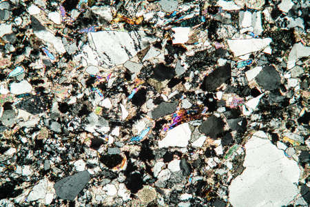 limestone rock under the microscope 50x