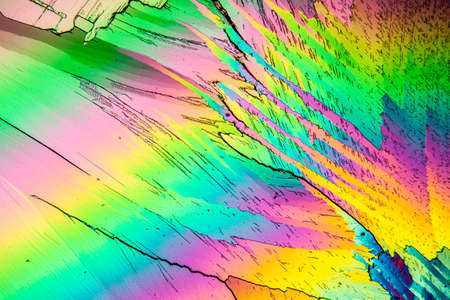 Urea crystals in polarized light under the microscope 100x