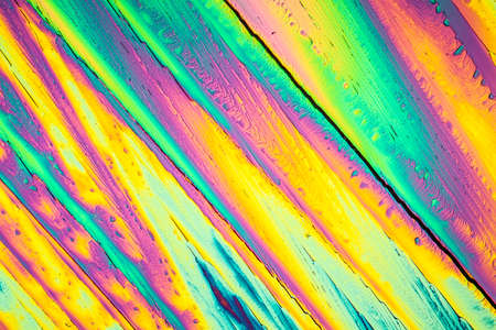 Urea crystals in polarized light under the microscope 100x