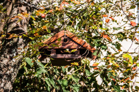 wooden birdhouse hangs in the autumn treeの写真素材