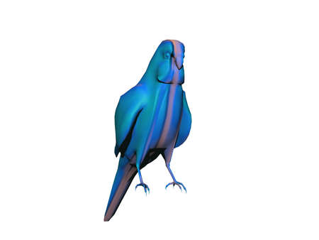 Flight study of birds in the skyの写真素材