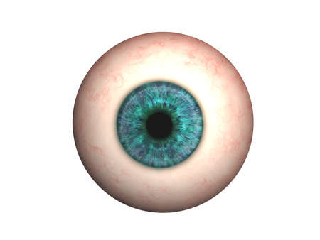 Eyeball with lens and iris