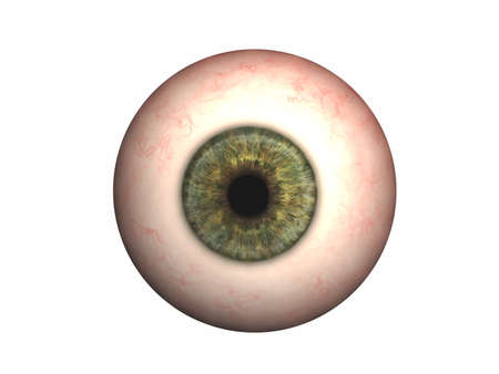 Eyeball with lens and irisの写真素材