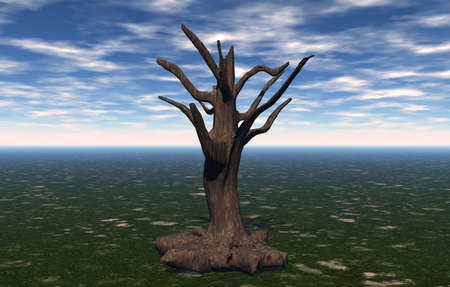 Tree stump of an old gnarled oakの写真素材