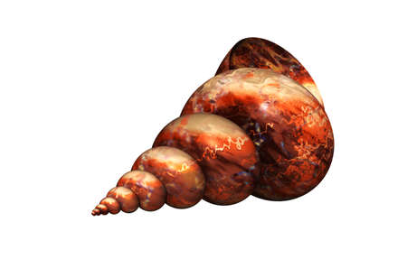 stone spiral snail shells with structureの写真素材