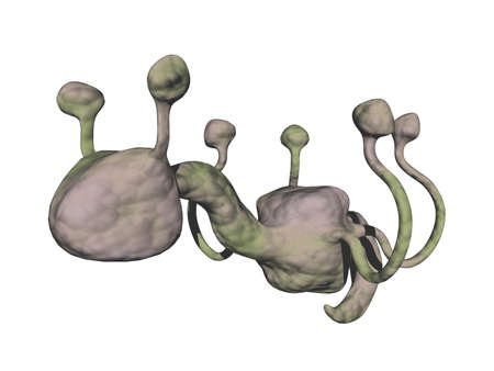 bizarre pathogen with many continuations