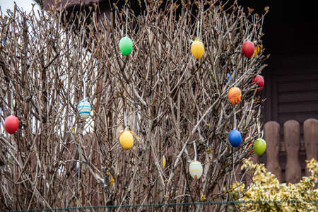 bare bush decorated with colorful Easter eggs in springの写真素材
