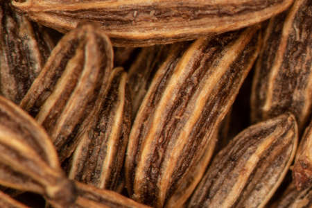 Close-up of caraway seeds as a spice
