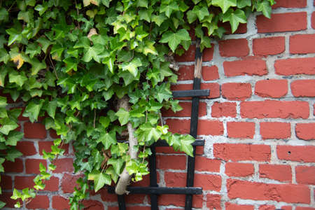 Tools for gardening in leisure timeの写真素材