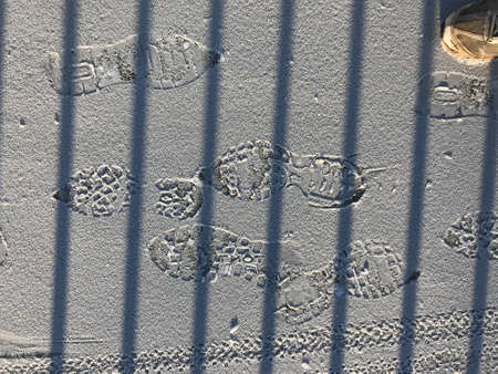 Tracks in the freshly falling snow
