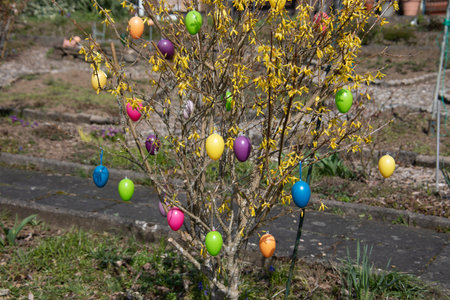 bare bush decorated with colorful Easter eggs in spring