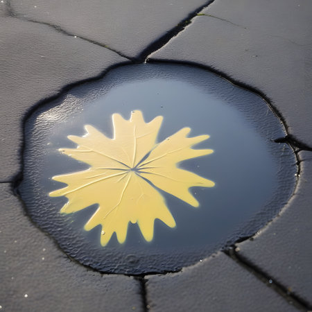 shimmering pools of oil on the streetの素材