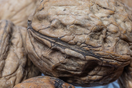 brown walnut as a very healthy food on the tableの写真素材