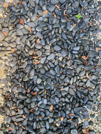 gray pebbles as backfilling a pathの写真素材