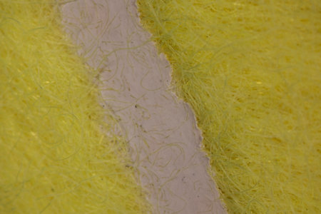 yellow tennis ball with fugue on it