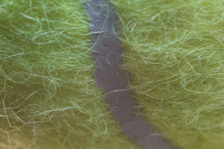 yellow tennis ball with fugue on itの写真素材