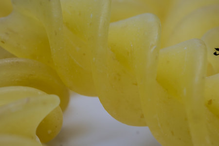 yellow spiral pasta under the microscopeの写真素材