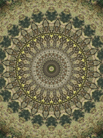 beautiful and colorful kaleidoscope images as a backgroundの写真素材
