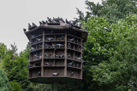 round wooden pigeon house on standの写真素材