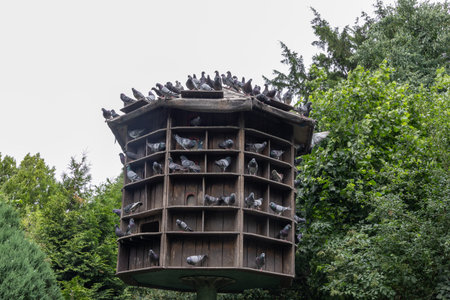round wooden pigeon house on standの写真素材