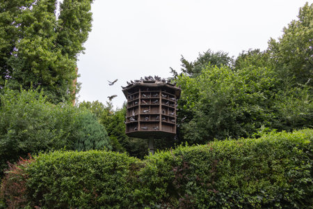 round wooden pigeon house on standの写真素材