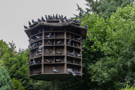 round wooden pigeon house on standの写真素材