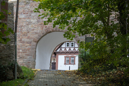 Castle Friedrichstein as an old building on a hill in Bad Wildungenの写真素材