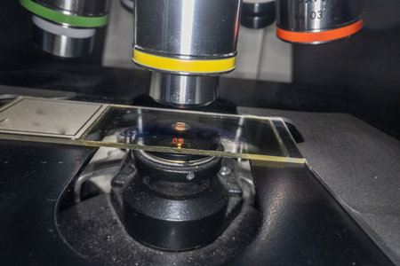 Nosepiece of a microscope with objectives in close up
