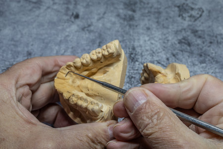 Dental technician looks at a model of the teeth and processes it close-up