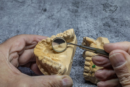 Dental technician looks at a model of the teeth and processes it close-up