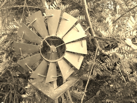 Bush Windmillの写真素材