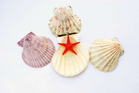shells isolated