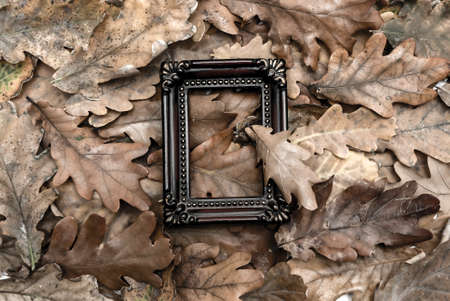 autumn leaves as a background