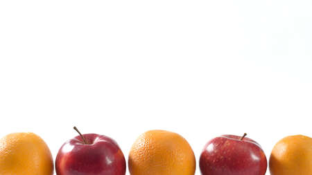 Fruits on white background for text and designの写真素材