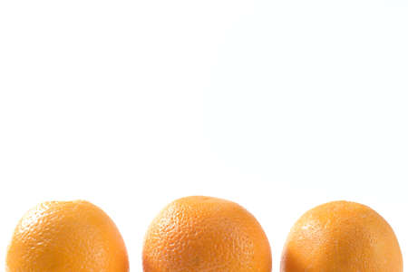 Oranges on white background for text and designの写真素材
