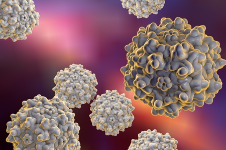 Background with viruses. Adeno-associated virus serotype 1. Virus is used as a vector for gene therapy. A model is built using data of viral macromolecular structure from Protein Data Bank PDB 3NG9の写真素材