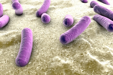 Bacteria on surface of skin, mucous membrane or intestine, model of Escherichia coli, Salmonella, Klebsiella, Legionella, Mycobacterium tuberculosis, model of microbes, simulating electron microscopeの写真素材