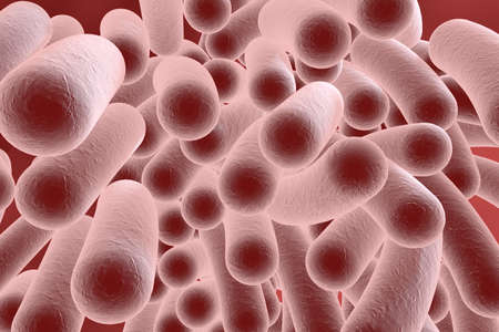 3D illustration of rod-shaped bacteria. Realistic illustration of microbesの写真素材