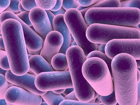 Three-dimensional drawing of rod-shaped bacteria, model of bacteria, realistic illustration of microbes, microorganisms, Escherichia coli, Klebsiella, Salmonella, Clostridiumの写真素材