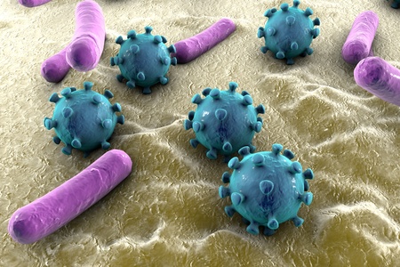Bacteria and viruses on surface of skin or mucous membrane, model of MERS, HIV, Influenza virus, Staphylococcus aureus, model of microbes. Microbes of different shapesの写真素材