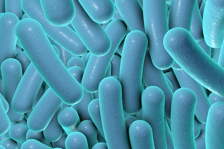 Digital illustration of bacteria, model of bacteria, realistic illustration of microbes, Escherichia coli, Klebsiella, Salmonella, Clostridium, Pseudomonas aeruginosa, Shigella, Legionellaの写真素材