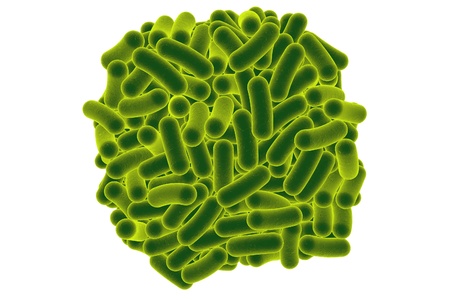 Rod-shaped bacteria isolated on white background, Escherichia coli, Salmonella, Shigella, Klebsiella, Mycobacterium tuberculosis, Legionella pneumophila, Pseudomonas aeruginosa, Yersinia pestisの写真素材